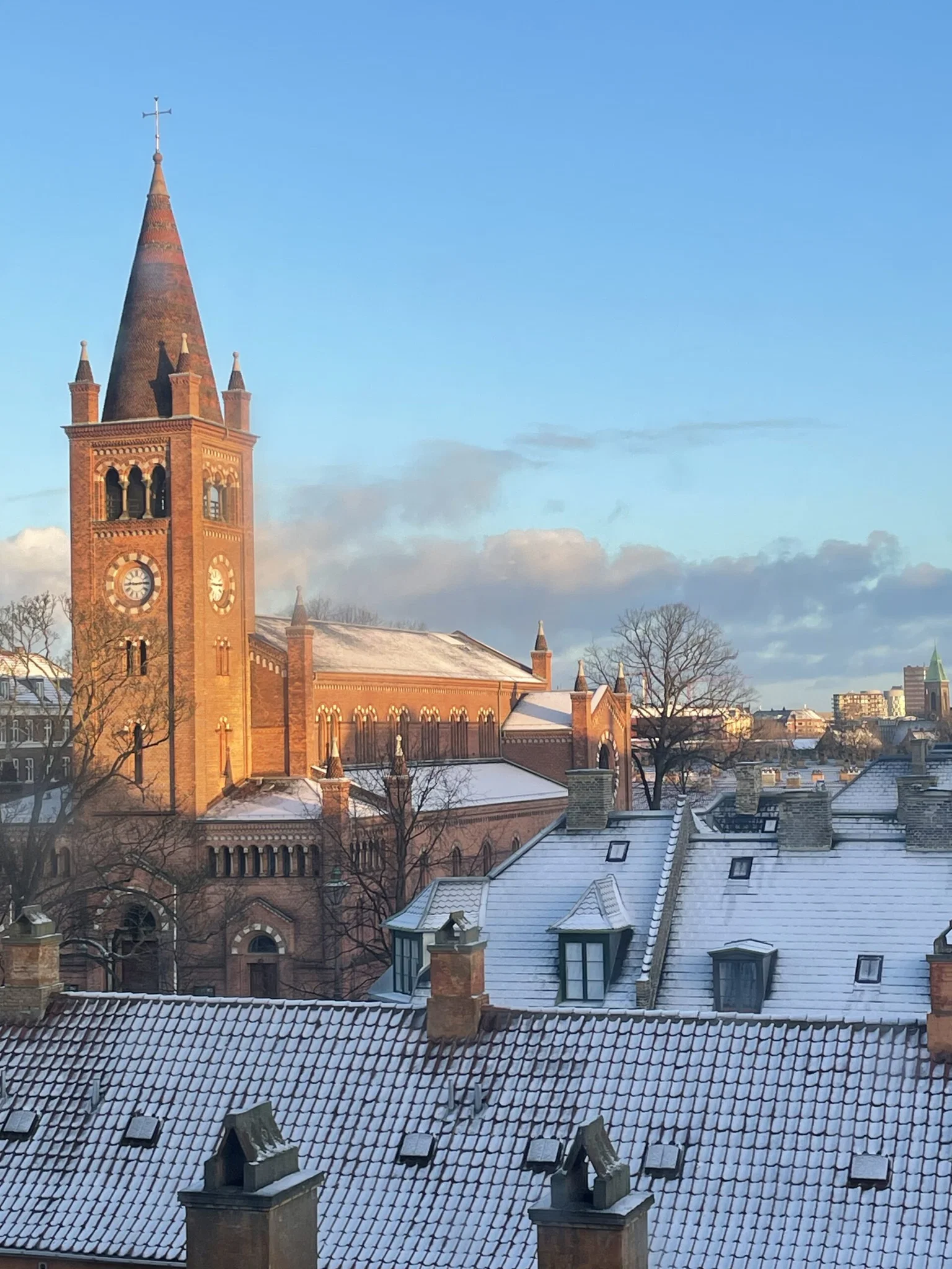 En attraktiv andelsbolig i det eksklusive Frederiksstaden ønskes byttet til lejebolig med ubegrænset lejeret (Bytte – ikke salg)