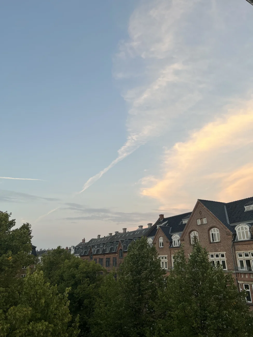 Lys lejlighed med sydvendt altan på Blågårds plads