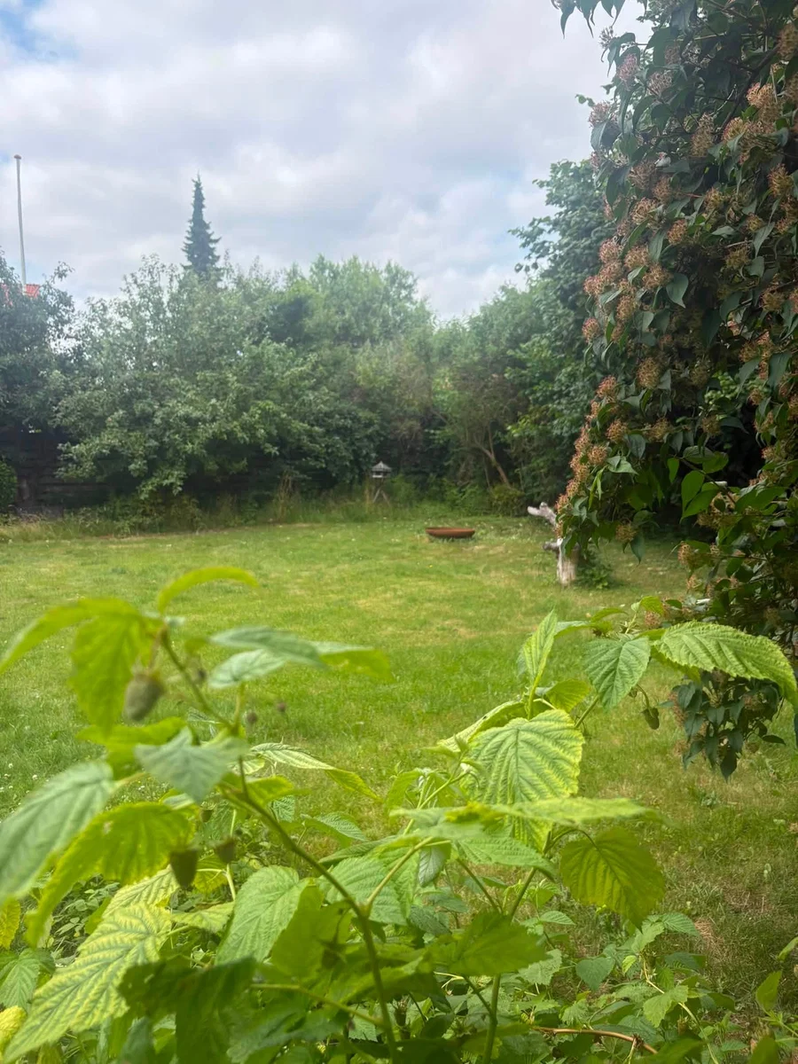 134 m2 andelslejlighed på Frederiksberg til bytte – 3.700.000 kr, 7.200 kr/md