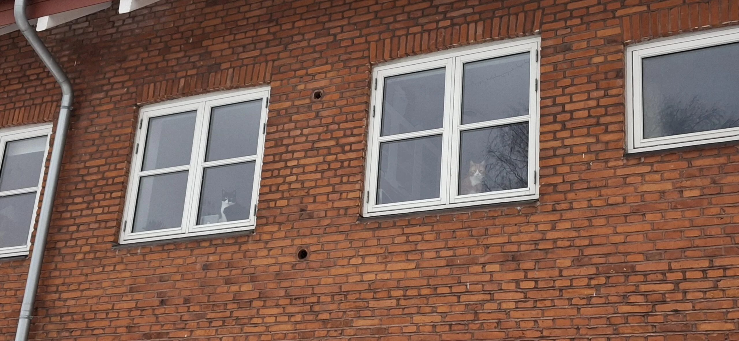 3v tæt ved husum torv med altan. Lav boligafgift