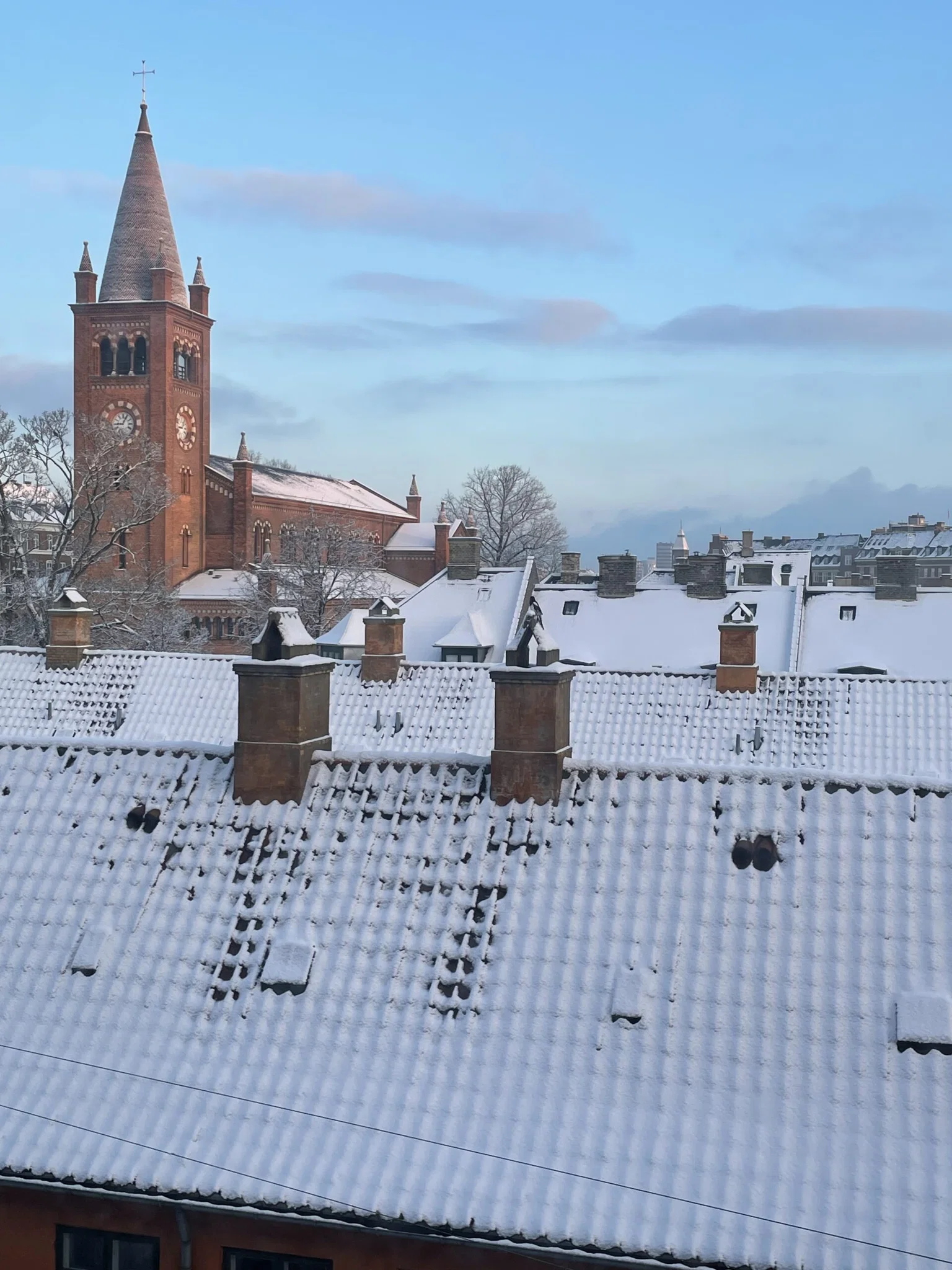 En attraktiv andelsbolig i det eksklusive Frederiksstaden ønskes byttet til lejebolig med ubegrænset lejeret (Bytte – ikke salg)