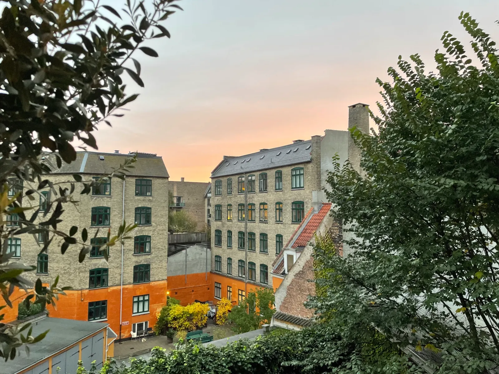Skøn lejlighed i baggård på indre Østerbro
