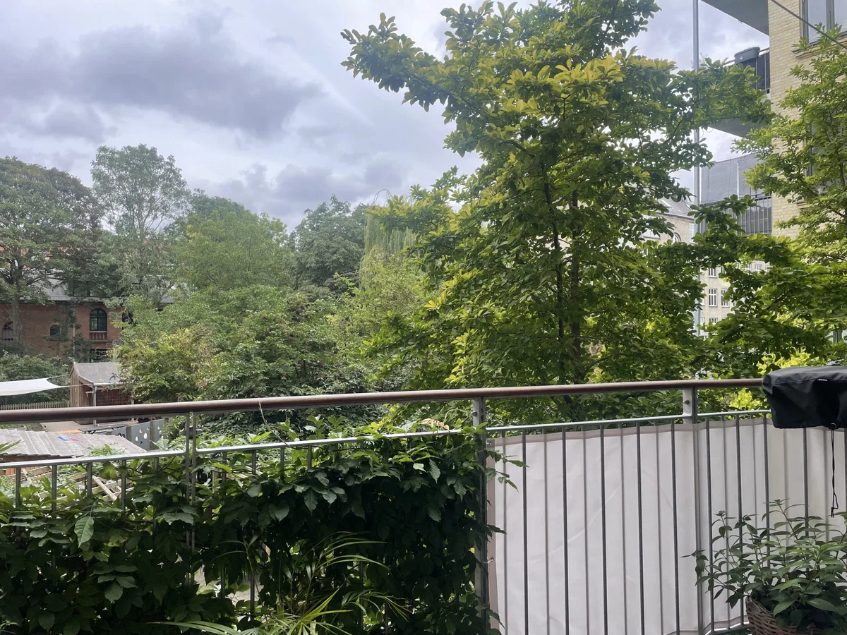 Flot og stor andel på stille del af Blågårdsgade (Vi søger 1 eller 2 mindre)