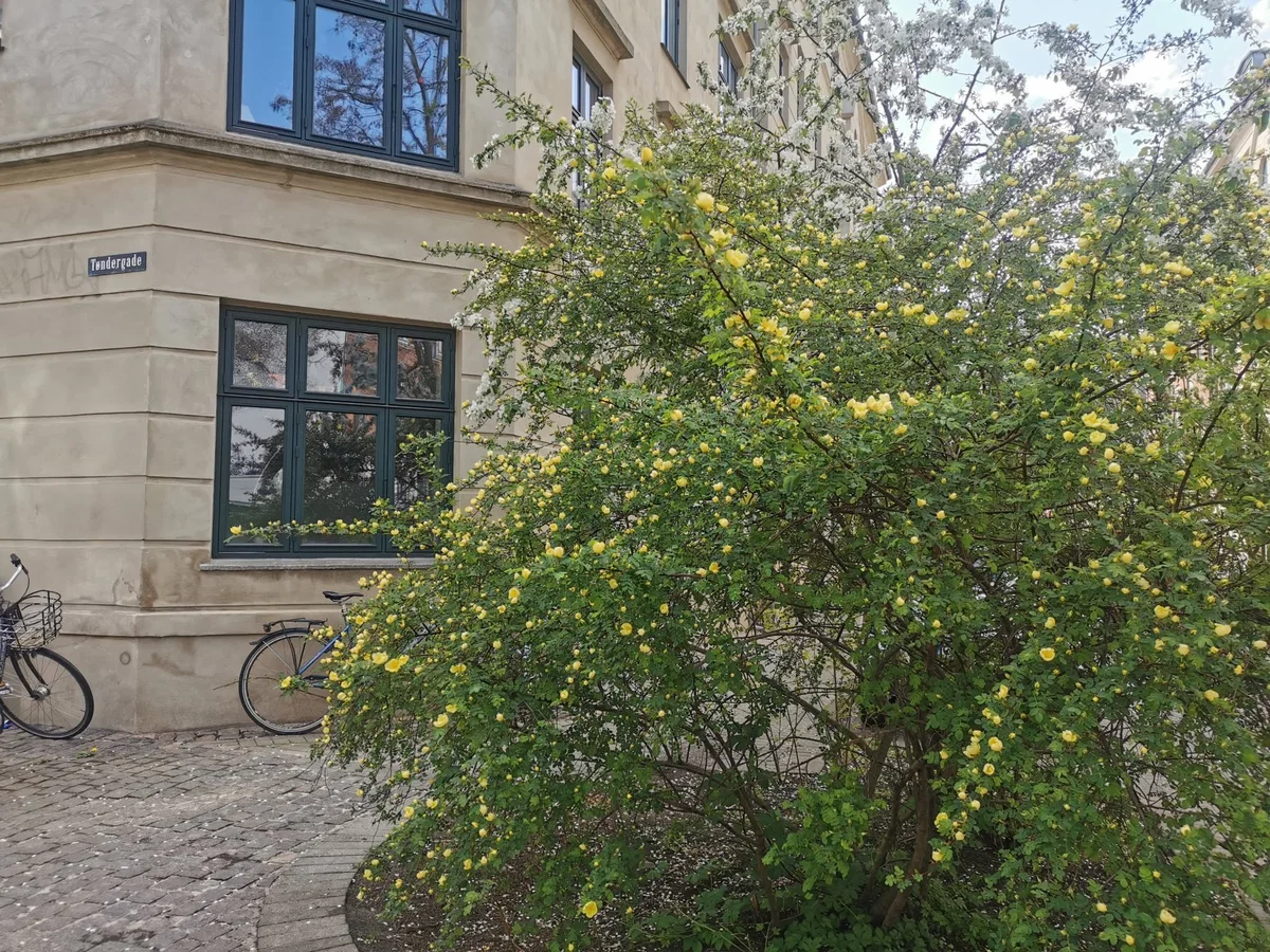 Bytte: 3V andel 81 m² på Vesterbro