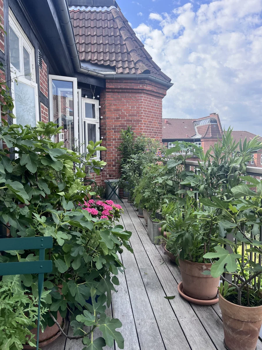 115 kvm andel i Hellerup med stor sydvestvendt altan.