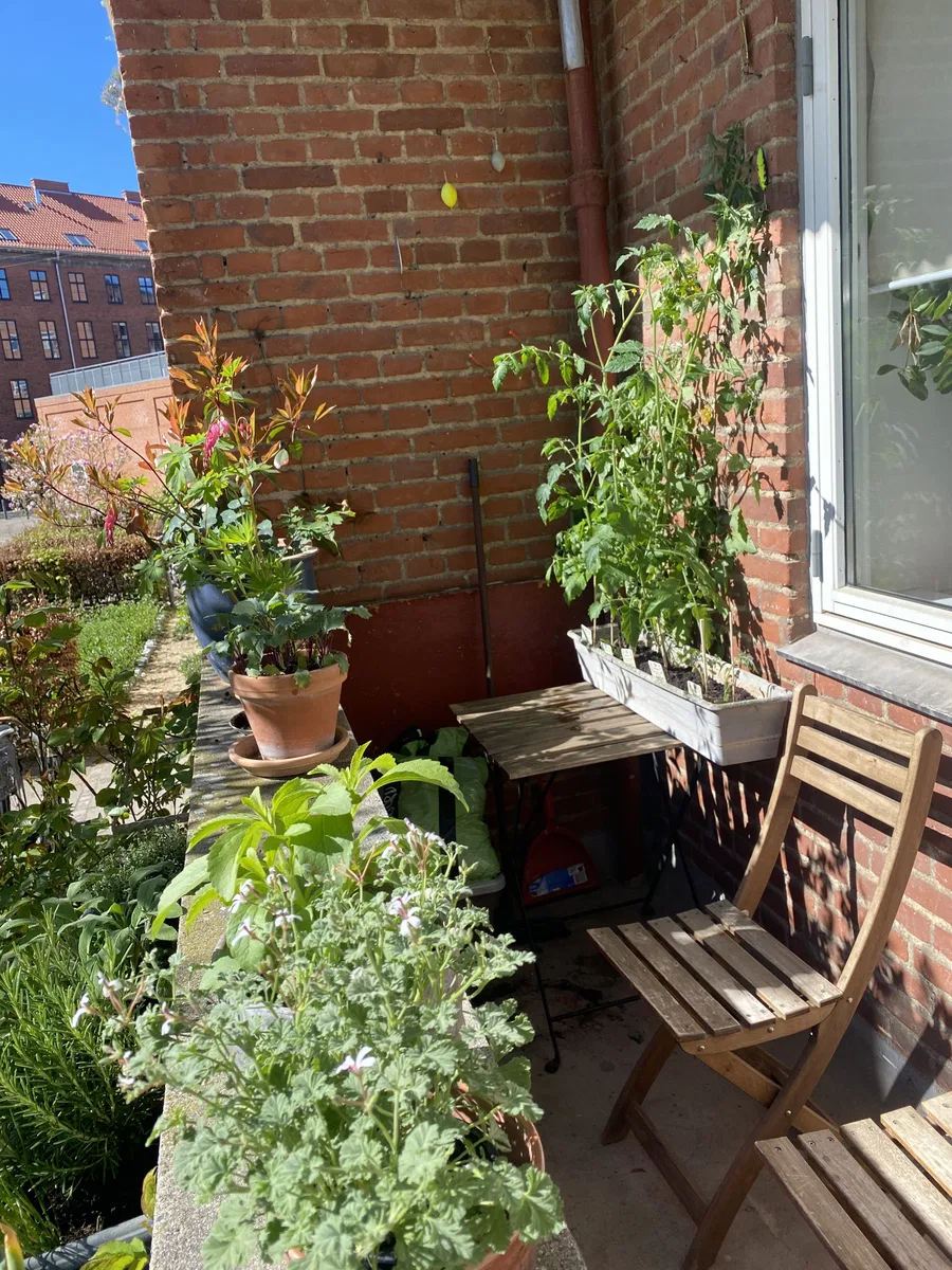 Lys stuelejlighed på indre Nørrebro