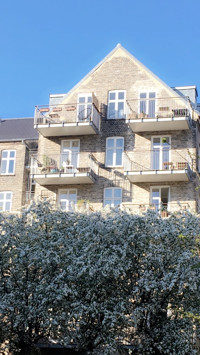 Lys lejlighed på indre Nørrebro, stor solrig altan med byens bedste udsigt.