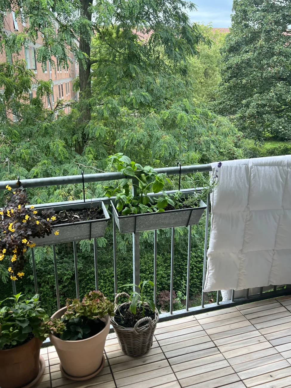 Vil du downsize? Lys andel med altan på Griffenfeldsgade 🌿