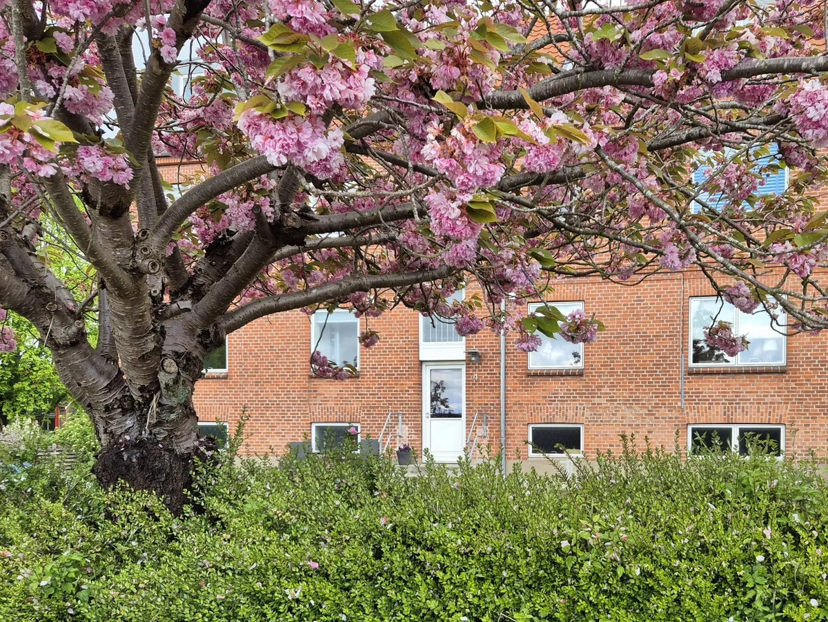 Næstved: 52 m2 andelslejlighed – 318.816 kr, boligydelse 2.668 kr