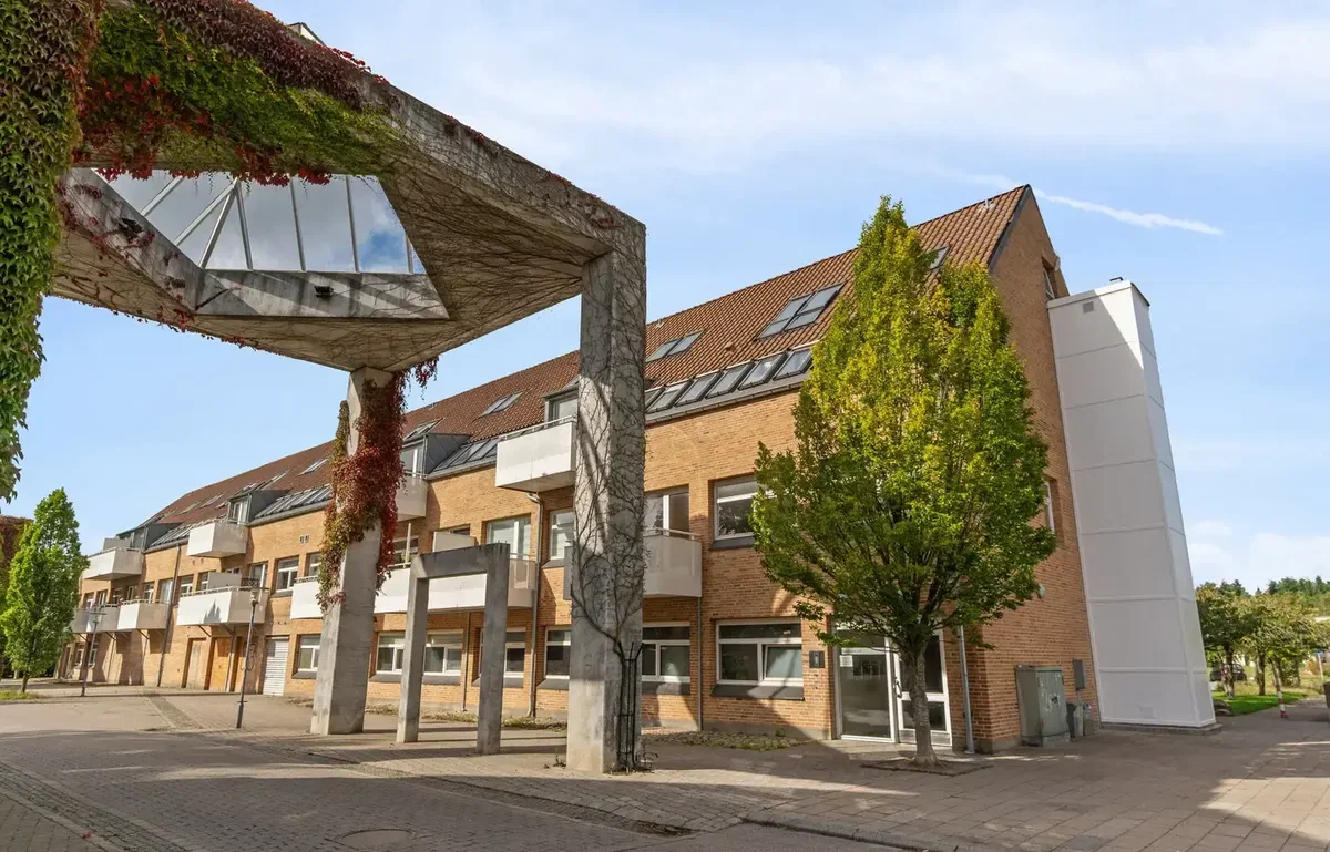 4-V´er i det eftertragtede Hvissinge