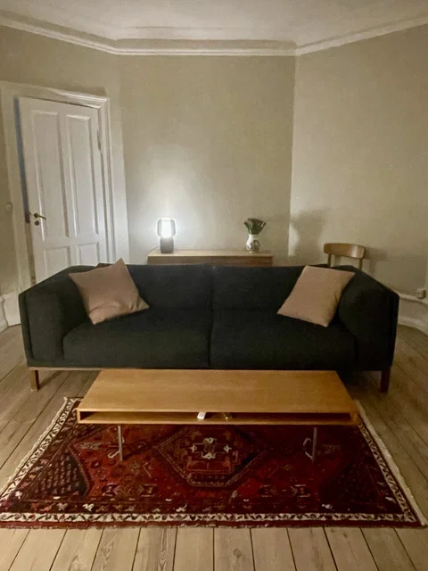 Herskabslejlighed på hyggelige Willemoesgade