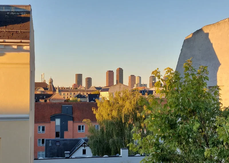 Lys 5- vær. lejlighed 1920 Frederiksberg C