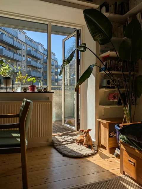 Lys og rolig 2V i stueetagen med stor altan