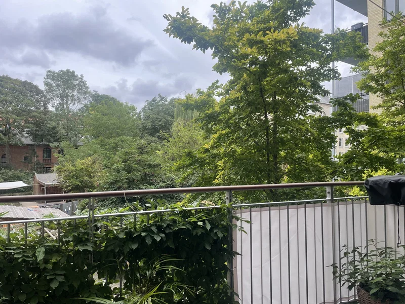 Flot og stor andel på stille del af Blågårdsgade (Vi søger 1 eller 2 mindre)