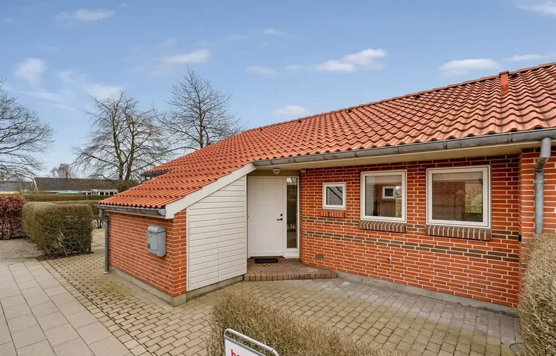 Dejlig have, der grænser op til grønt område og skovareal