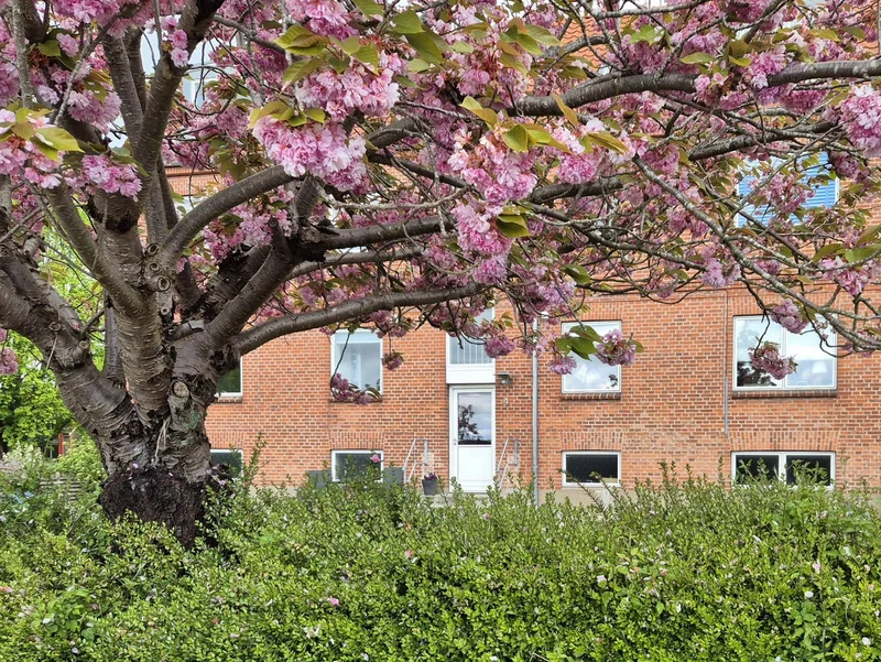 Næstved: 52 m2 andelslejlighed – 318.816 kr, boligydelse 2.668 kr